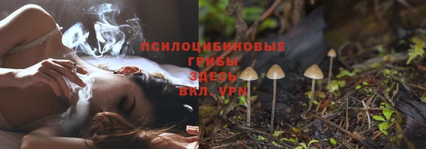 тгк Алзамай