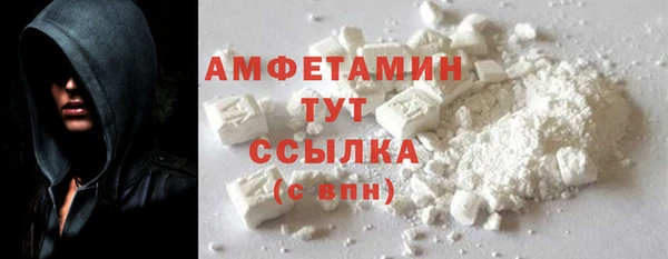 молекула духа Арсеньев