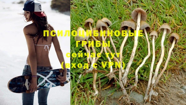 молекула духа Арсеньев