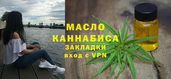 молекула духа Арсеньев