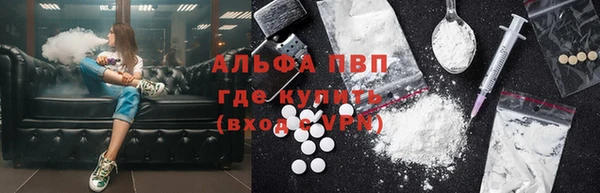 молекула духа Арсеньев