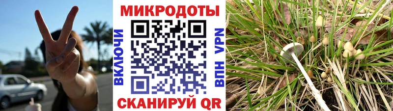 Галлюциногенные грибы GOLDEN TEACHER  гидра tor  Байкальск 
